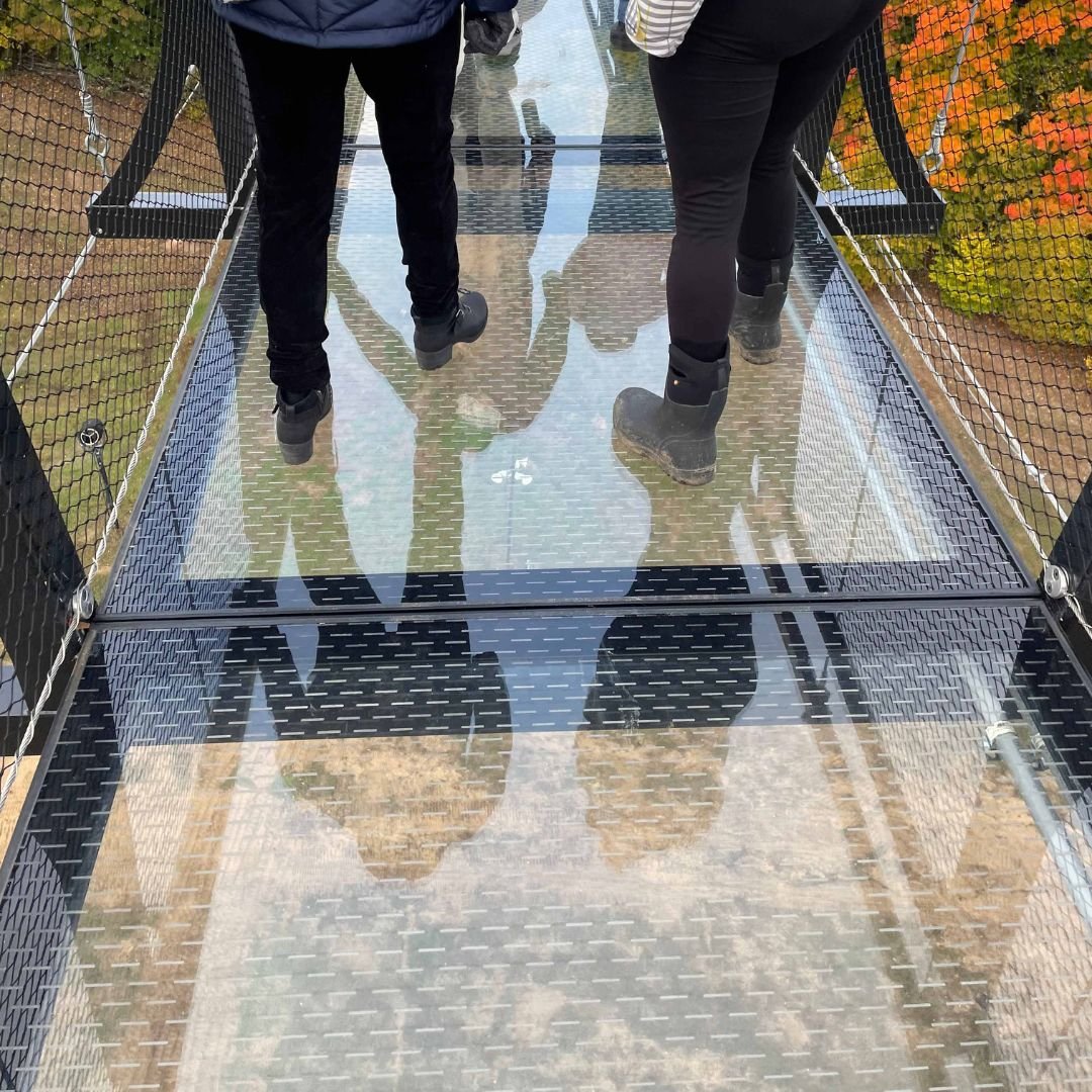 Architectural Glass Floor, Glass Block & Sidewalk Vault Light Pavers